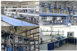 高效管理，助力成長(zhǎng)——?dú)g迎探索企業(yè)管理咨詢的專(zhuān)業(yè)價(jià)值